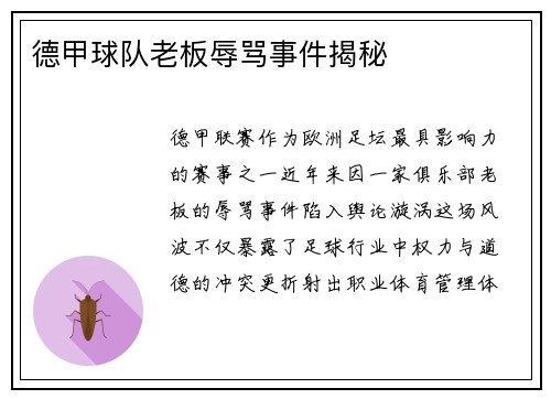 德甲球队老板辱骂事件揭秘